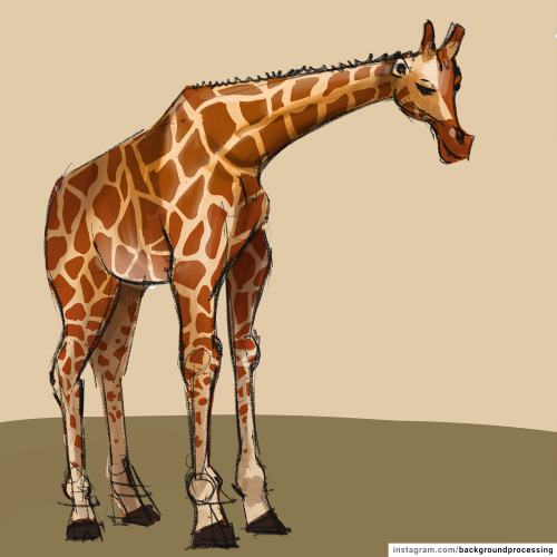 Giraffe