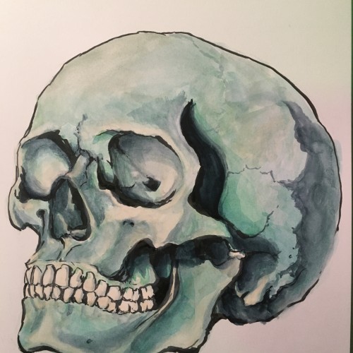 Skull study