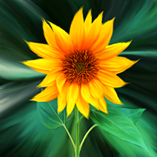 Sunflower