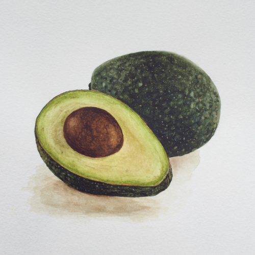 Avocado