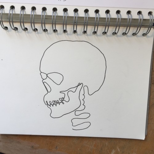 skull.