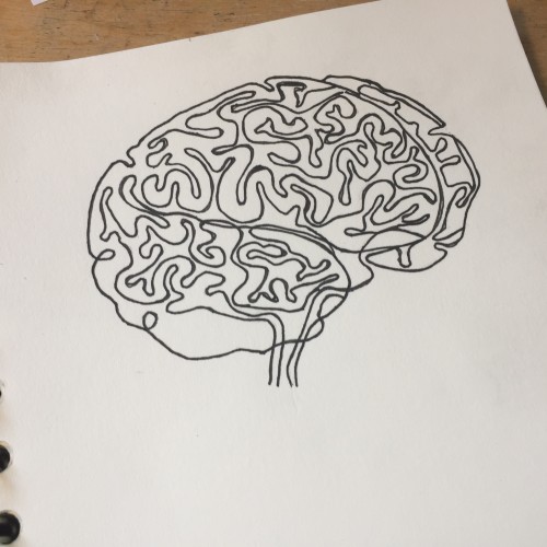 brain.