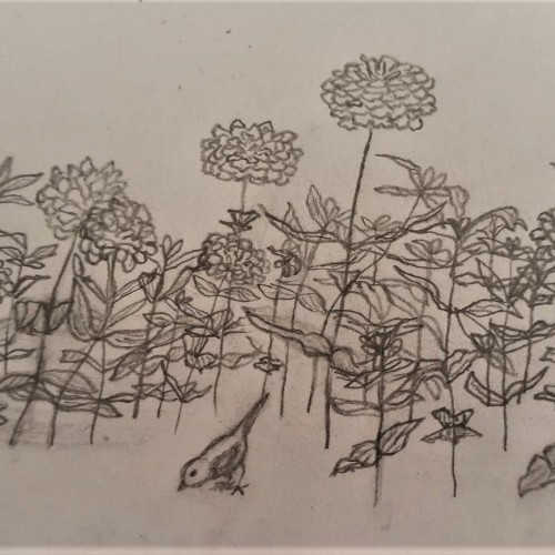 Garden Doodle Practice