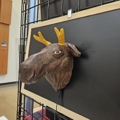 Finished moose head