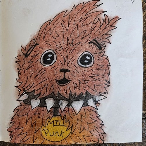 Guinea pig punk Milly