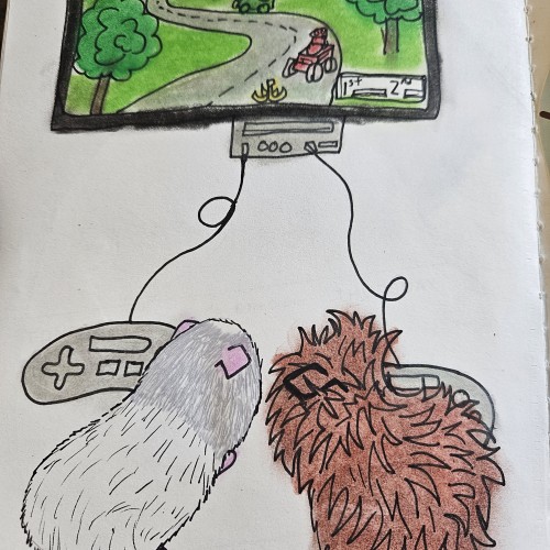 Video games