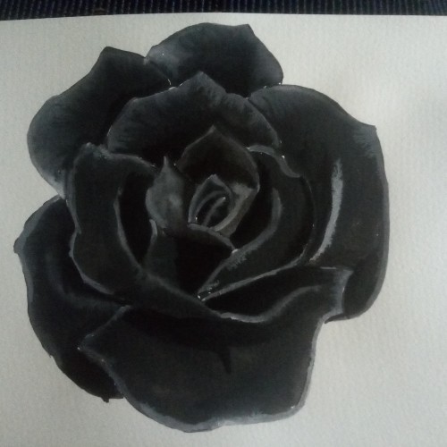 Black Rose