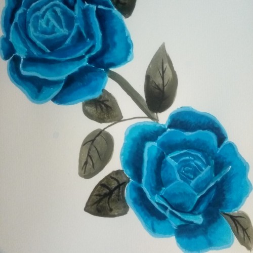 2 Blue Roses