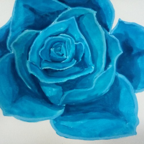 Blue Rose