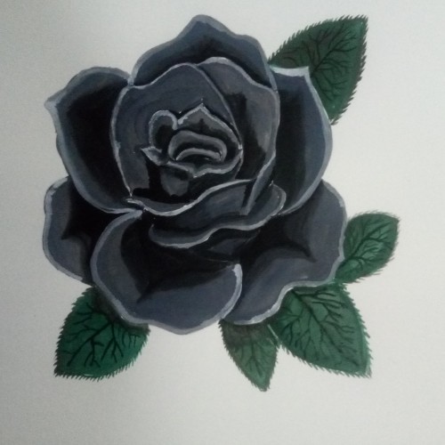 Black Rose