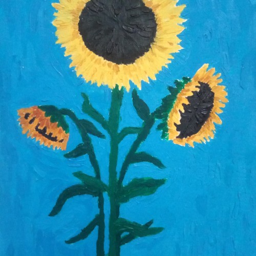 Sunflowers