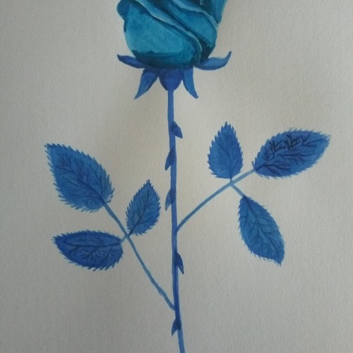 Blue Rose with Thorns