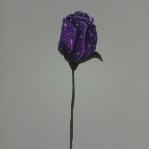 Purple Galaxy Rosebud