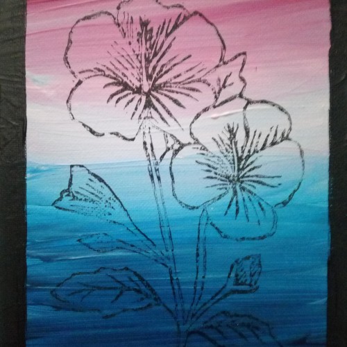 Hibiscus