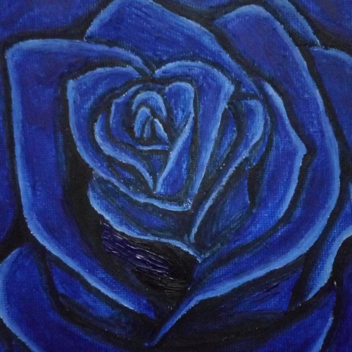 Dark Blue Rose