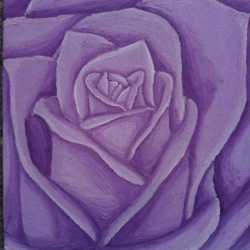 Light Purple Rose