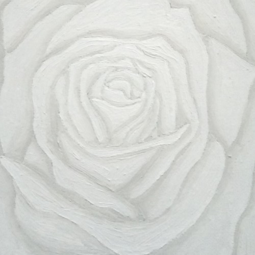 White Rose