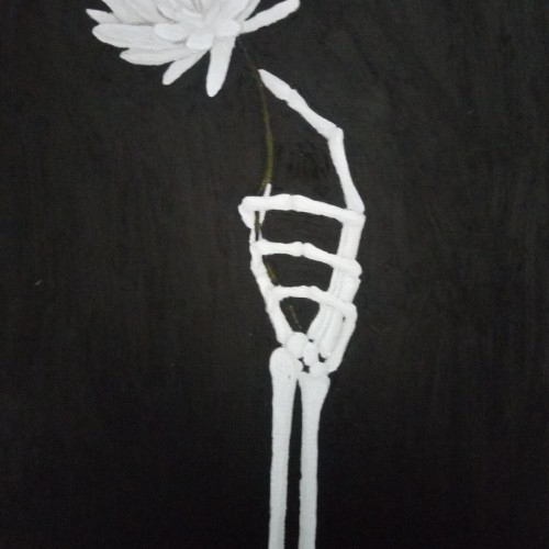 Chrysanthemum