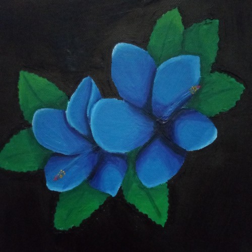 Blue Hibiscus