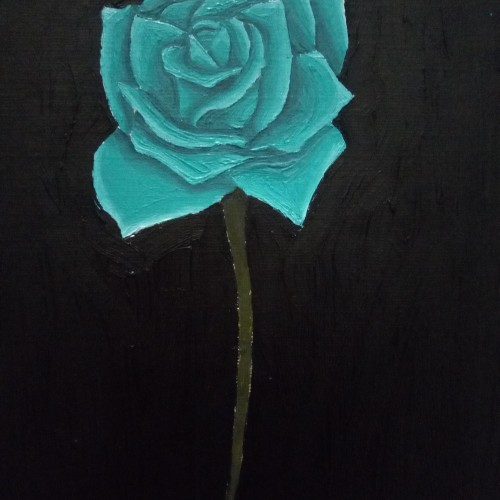 A Single Rose