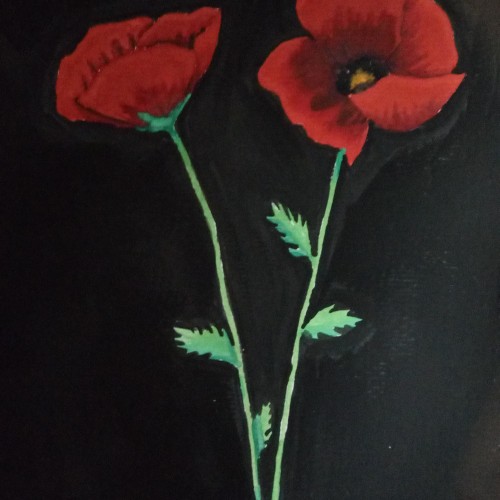 Poppies