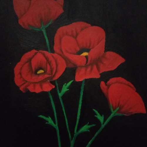 Poppies