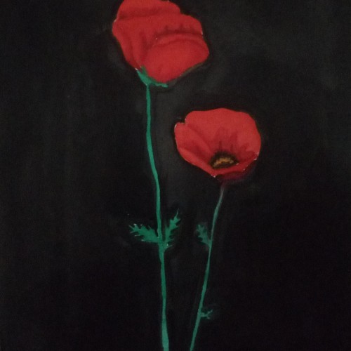 Poppies