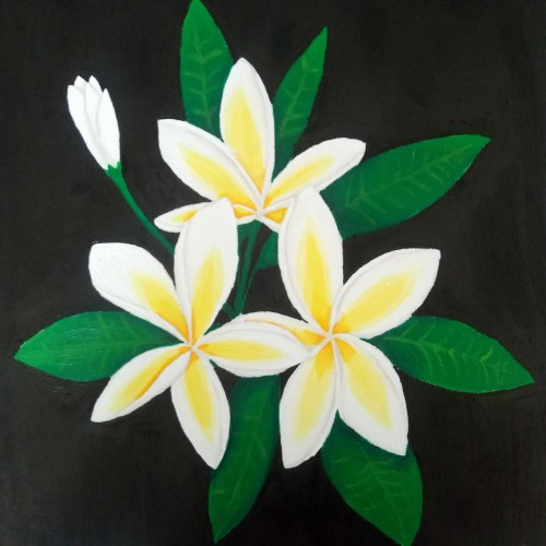 Frangipani Flowers