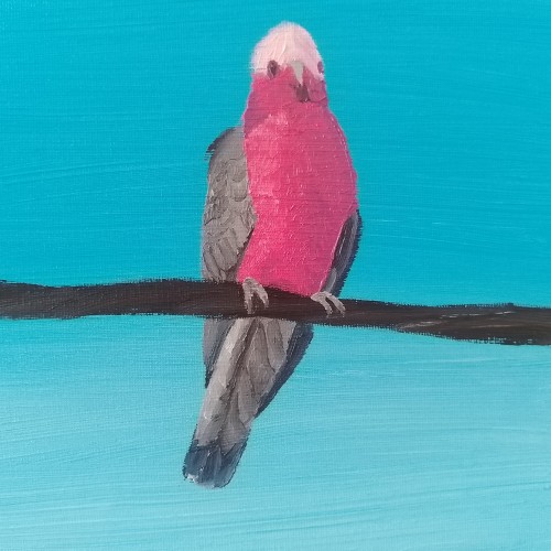 Blush Against the Sky