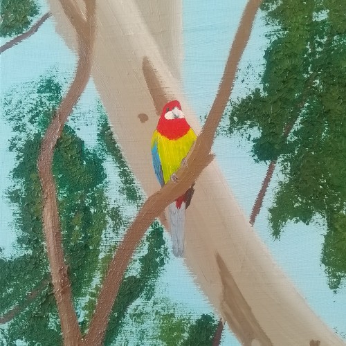 Bush Jewel
