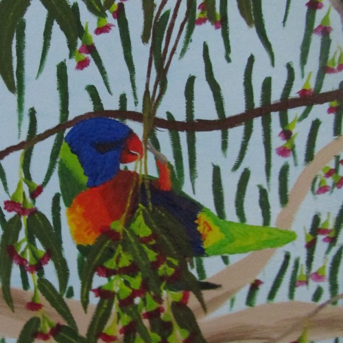Feasting Lorikeet