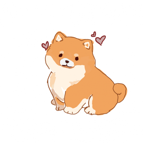 Corgi why not