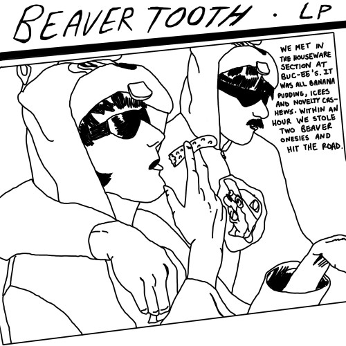 Beaver Tooth