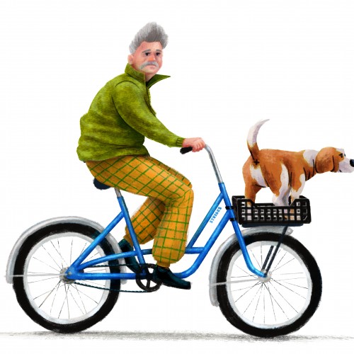 Bassett Bike