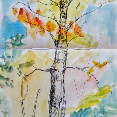 tree in the autumn