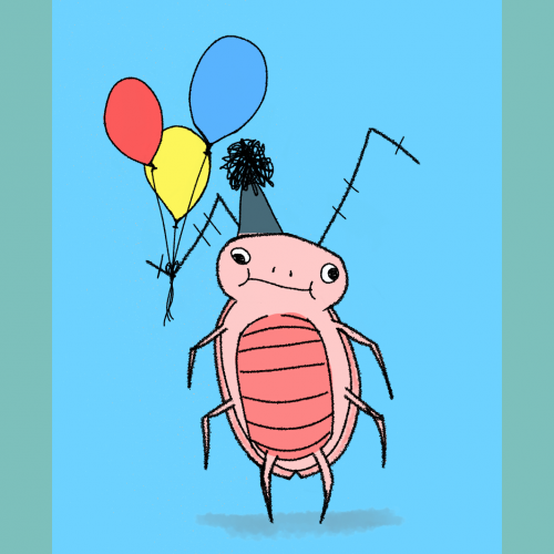 party beetle