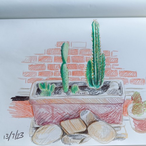 Cacti and stones