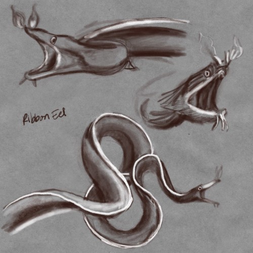 Ribbon Eels