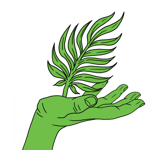 Palm Leaf