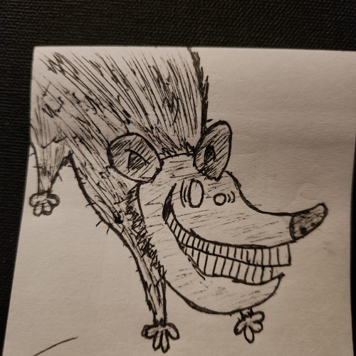 Possum Doodle