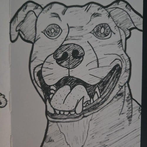 Scribbles with Sarah: Dogs