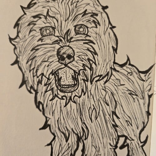 Scribbles with Sarah: Dogs