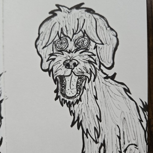 Scribbles with Sarah: Dogs