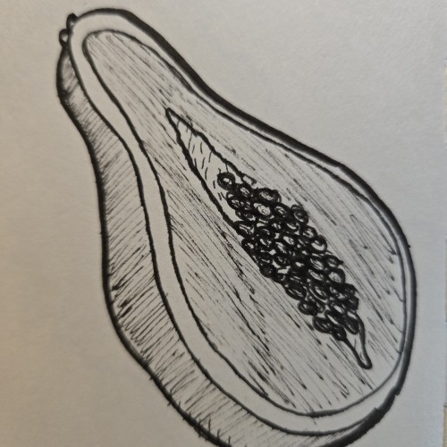 Scribbles with Sarah: Fruit