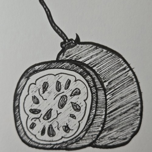 Scribbles with Sarah: Fruit