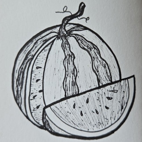 Scribbles with Sarah: Fruit