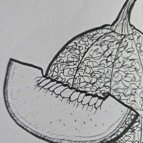 Scribbles with Sarah: Fruit