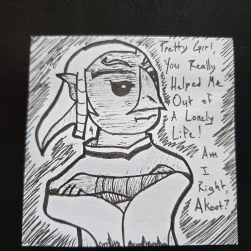 Skett (Wind Waker)