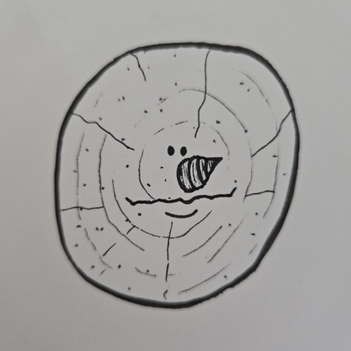 Scribbles with Sarah: Faces in Things