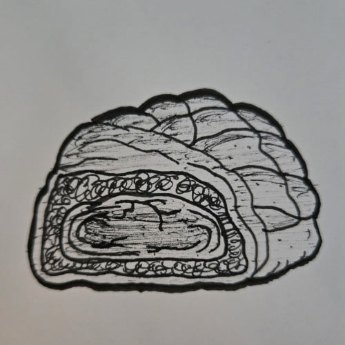 Scribbles with Sarah: Food